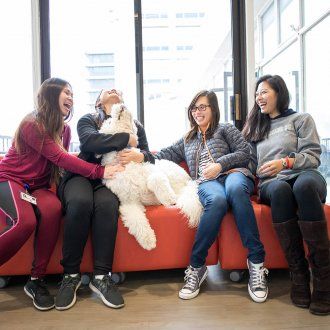 First year pharmacy students laugh with therapy dog Ollie who bends his head up for a kiss