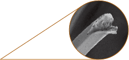 A microscopy image of a polyester fleece fiber that are broken and frayed.