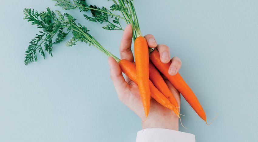 Photo of a doctor’s hand in a white coat holding a bunch of carrots on a blank blue background.