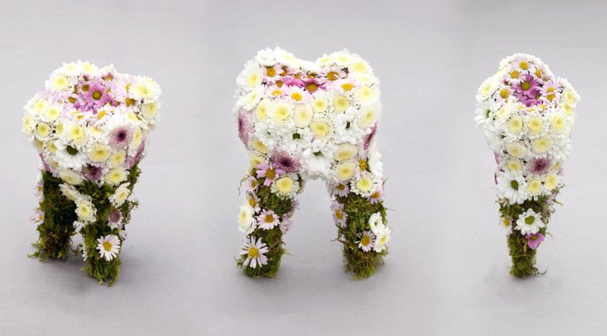 Sculptures of three human teeth made out of flowers and moss.