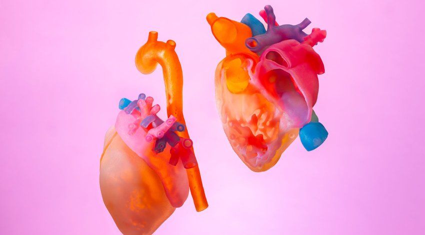 3d printed model of a heart, split into two pieces, floating in front of a pink background.