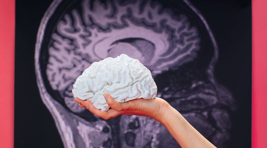A hand holds up a white model of a brain in front a an image of a MRI scan of a human brain.