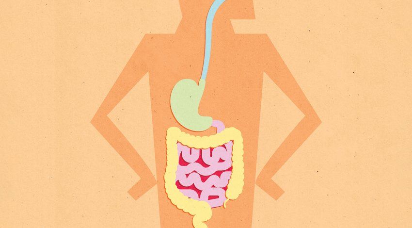Illustration of the gastrointestinal tract