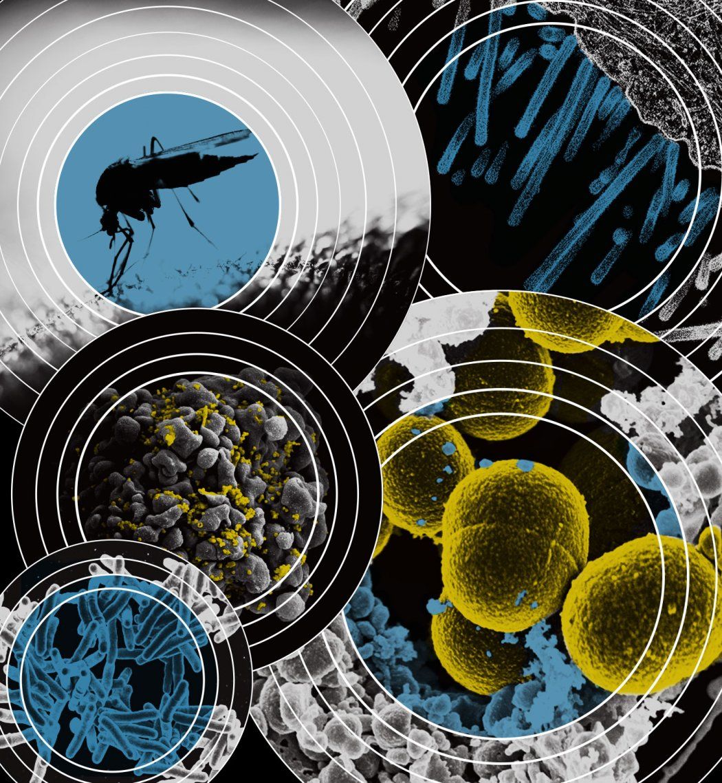 Photo illustration of infectious diseases under microscopes and a mosquito in concentric circles.