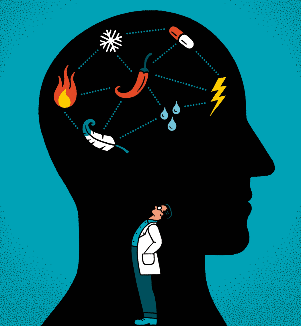 Illustration of the silhouette of a human head; a scientist in a lab coat looks up at objects in the brain: a chili pepper (center), fire, a snowflake, a pill, a lightening bolt, water droplets, and a feather.