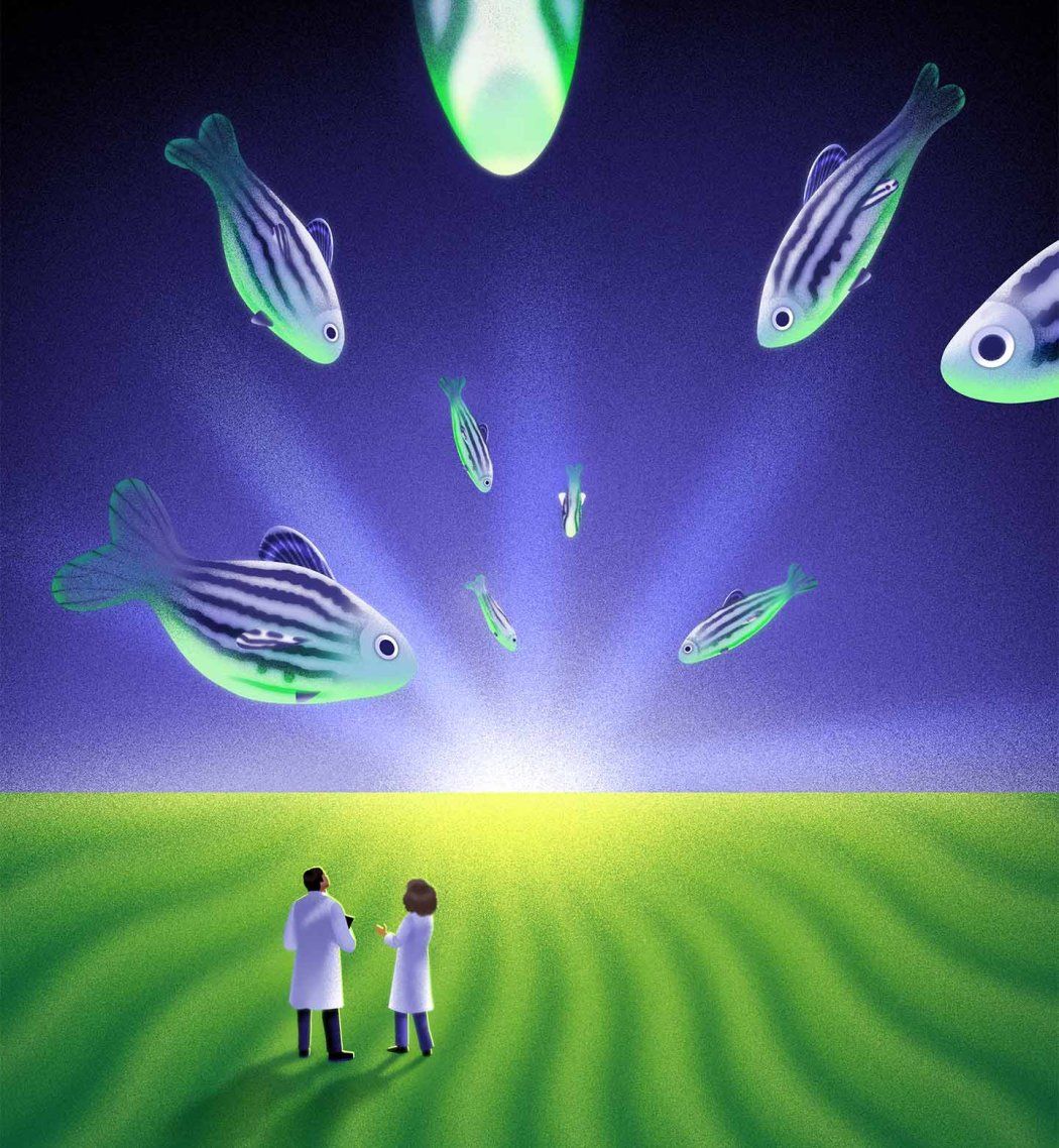Illustration of two scientists wearing white lab coats standing in a green field with a glowing horizon line. The sky is a deep purple with zebrafish swimming toward the horizon.