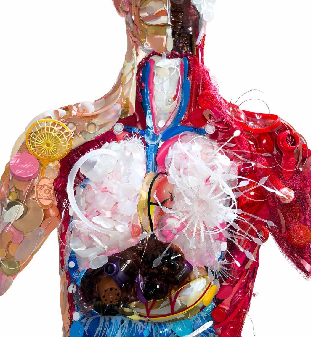 Sculpture of the anatomical insides of a human body, made entirely out of pieces of colorful plastic.