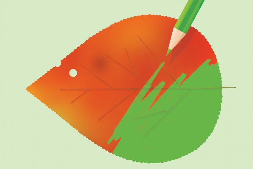 Illustration of a red, autumnal leaf, with a green pencil coloring over the leaf and turning it green.