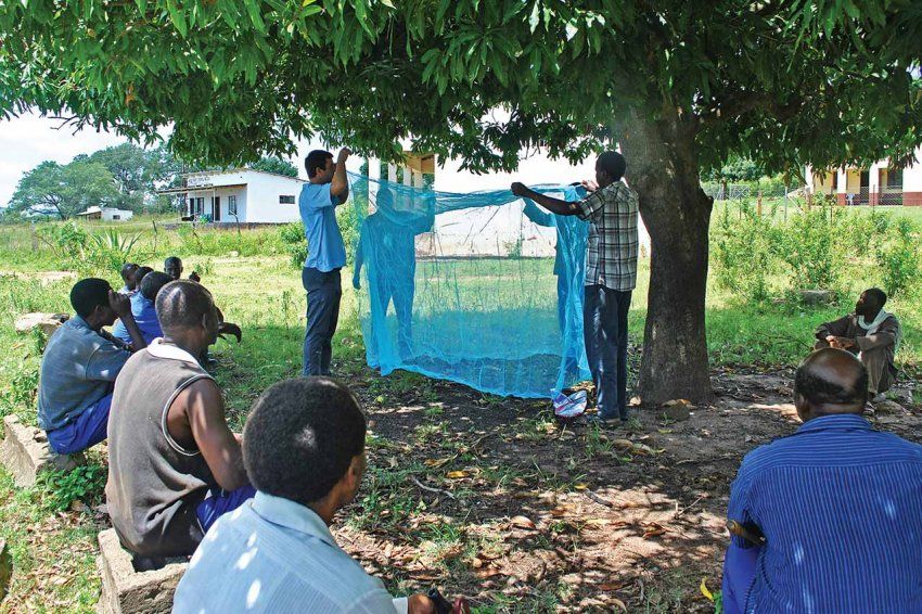People holding up and teaching about mosquito nets.