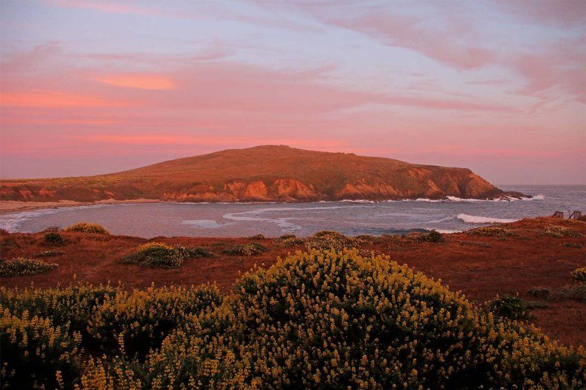 Bodega Bay at sunset