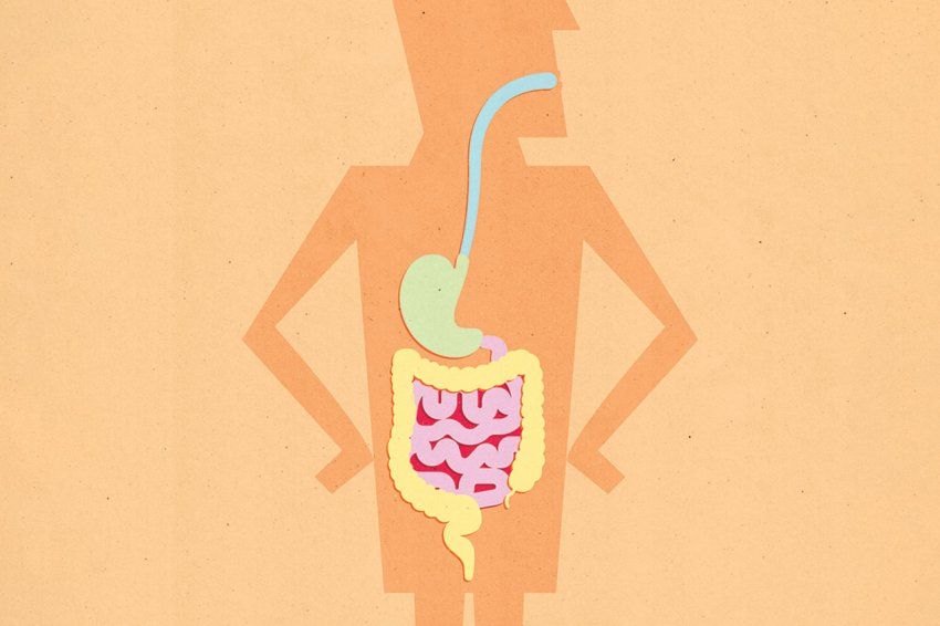 Illustration of the digestive tract