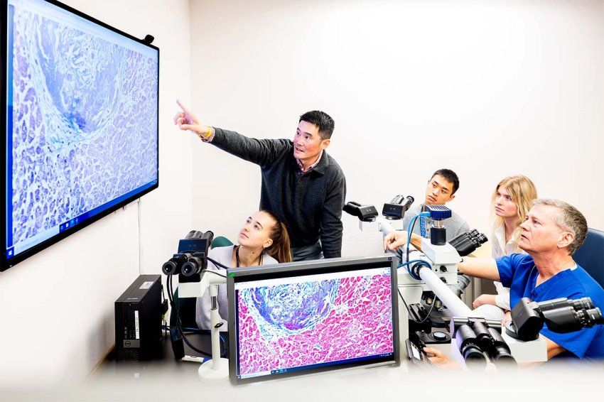 A group of people is gathered around microscopes and large screens displaying heart tissue.